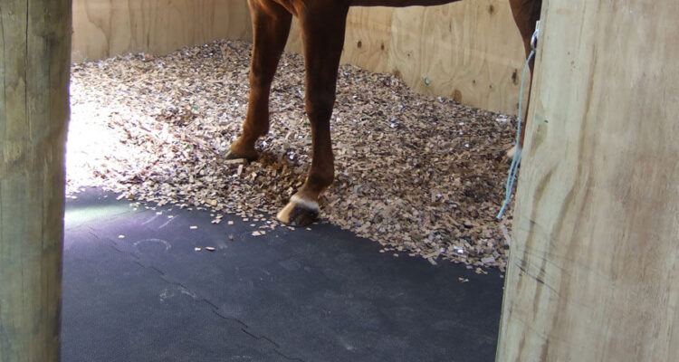 Rubber-floors-for-stables